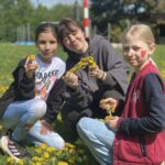 Vonkajšie aktivity detí - pletenie venčekov z púpavy.